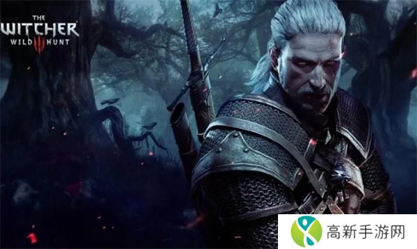 巫师3孤独一掷任务怎么做