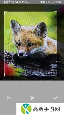 万能拍照识别纯净版安装