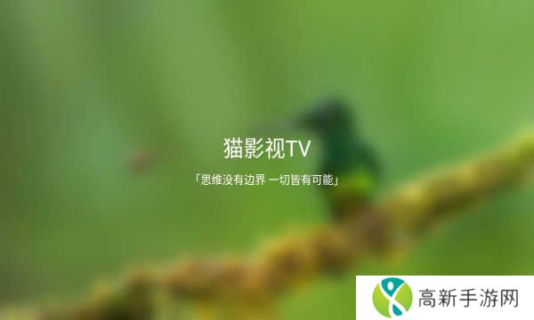 猫影视t
