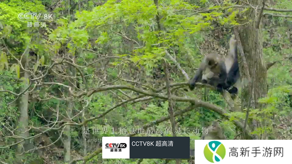 我的电视APP最新版