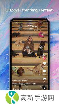 抖音TikTok正版下载ios安卓