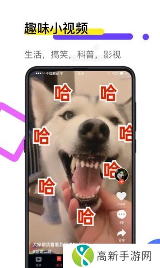 火萤视频壁纸最新版