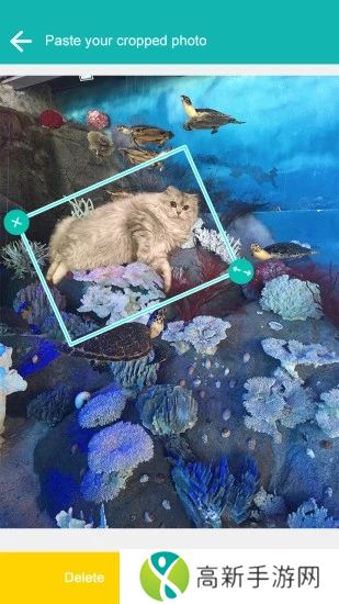 抠图神器手机版