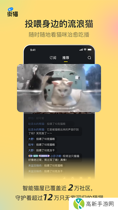 哈啰街猫 app