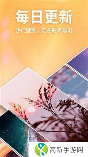 灵猫桌面壁纸 高清版