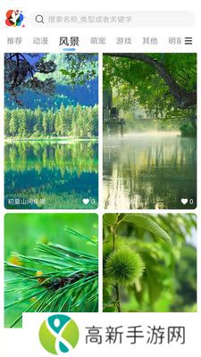 小鸟壁纸 app自动换壁纸