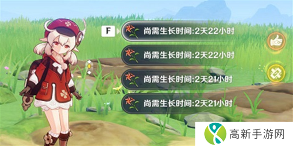 原神风车菊哪个npc卖? 原神风车菊采集攻略