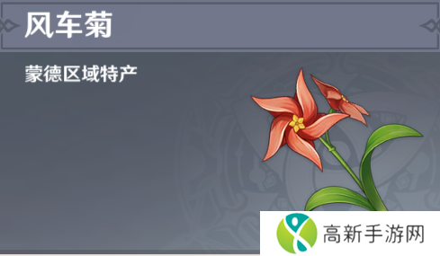 原神风车菊哪个npc卖? 原神风车菊采集攻略