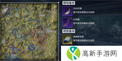 星球重启紫眼刺空裂鱼位置介绍 紫眼刺空裂鱼获取攻略