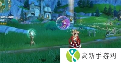 原神何处盛放的蔷薇任务怎么做 何处盛放的蔷薇任务完成方法分享