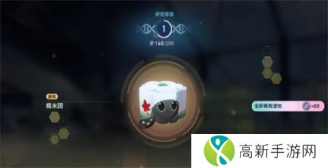 崩坏星穹铁道异宠拾遗培育任务怎么做 异宠拾遗培育任攻略