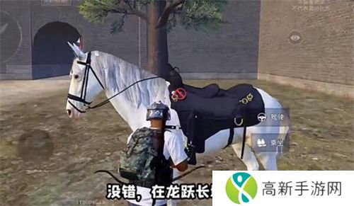 和平精英在哪里可以骑马 骑马位置方法介绍