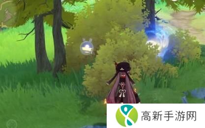 原神4.3秘宝迷踪第五天攻略 秘宝迷踪第五天宝藏位置